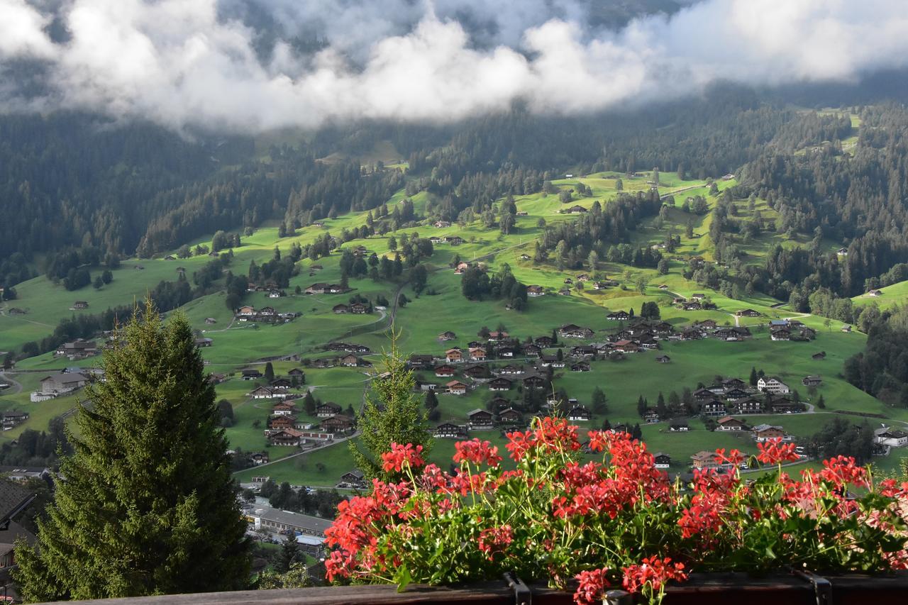 Hotel Du Sauvage Grindelwald Jungfrau Extérieur photo