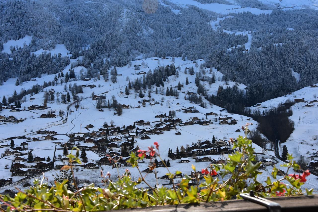 Hotel Du Sauvage Grindelwald Jungfrau Extérieur photo