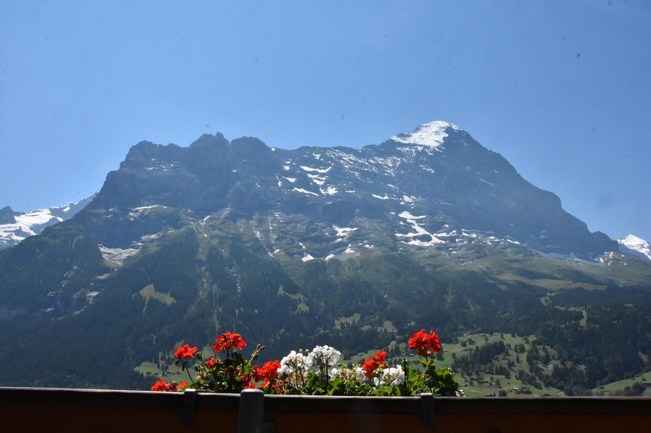 Hotel Du Sauvage Grindelwald Jungfrau Extérieur photo