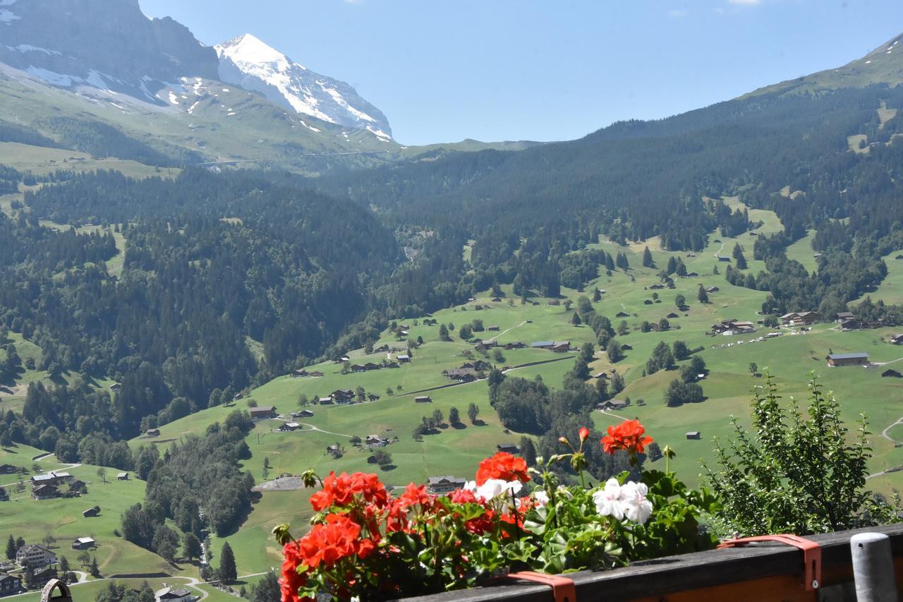 Hotel Du Sauvage Grindelwald Jungfrau Extérieur photo