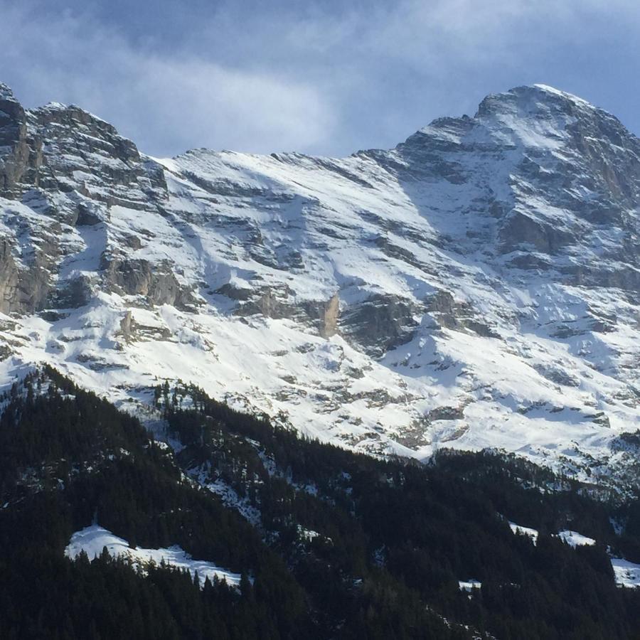 Hotel Du Sauvage Grindelwald Jungfrau Extérieur photo